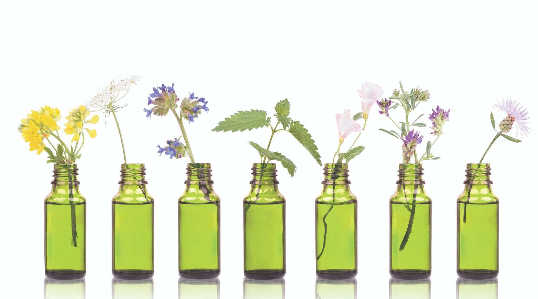 7-must-have-essential-oils-for-aromatherapy-use-aroma-thyme-aromatherapy