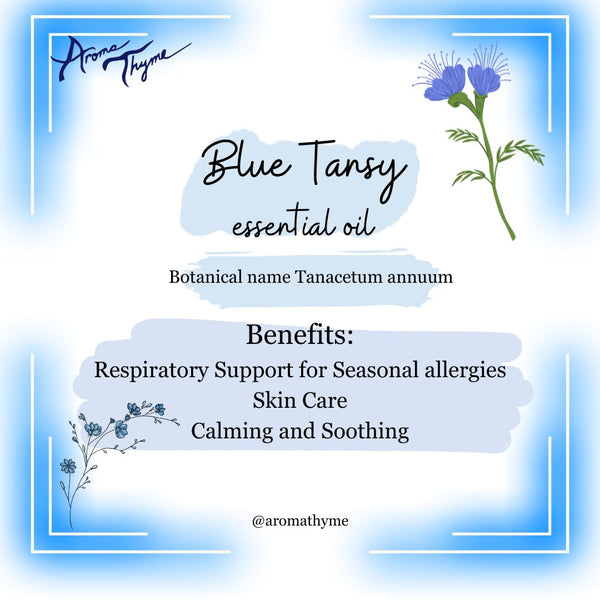 Blue Tansy (Moroccan Chamomile) Wild Essential Oil