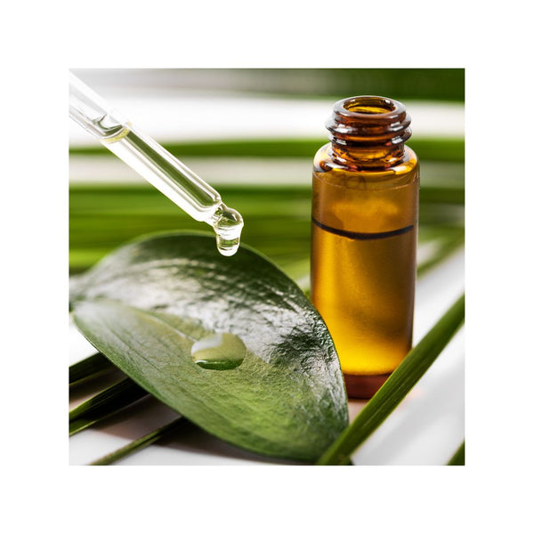 Melaluca quinquenervia Niaouli MCQ essential oil