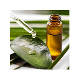 Melaluca quinquenervia Niaouli MQV organic essential oil